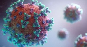 ВОЗ: мутация коронавируса не приведет к новой пандемии